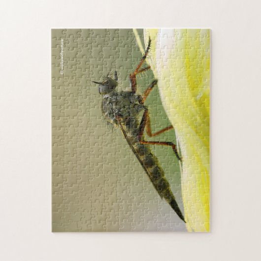 Puzzle Cool Assassin Fly Bug Insect (Vertical)