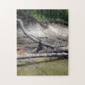 Puzzle Coonhound Noir & Tan Dans La Rivière (Vertical)