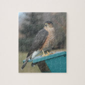 Puzzle Coopers Hawk (Vertical)