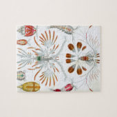 Puzzle Copepoda vintage Ocean Animaux par Ernst Haeckel (Horizontal)