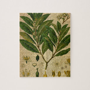 Puzzle Copie botanique à la page de vieux livre