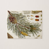 Puzzle Copie botanique vintage de pin de Pinecone (Horizontal)