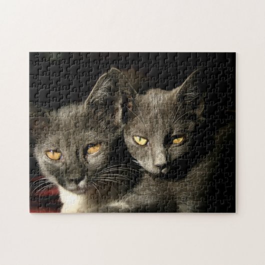 Puzzle Copule de chat gris (Horizontal)