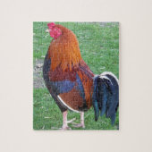 Puzzle Coq (Vertical)
