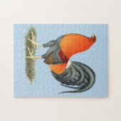 Puzzle Coq bleu rouge Gamecock (Horizontal)