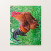 Puzzle Coq de Rhode Island. (Vertical)