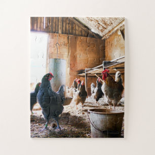 Puzzle Coq et poules à l'intérieur de la grange