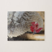 Puzzle Coq Frisé Adorable (Horizontal)