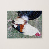 Puzzle Coq Hawaii Hanauma Bay (Horizontal)