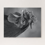Puzzle Coq noir et blanc (Horizontal)