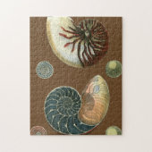 Puzzle Coque de cacao (Vertical)