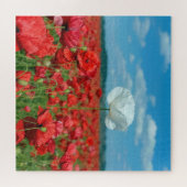 Puzzle Coquelicot blanc unique dans un champ de coquelico (Horizontal)