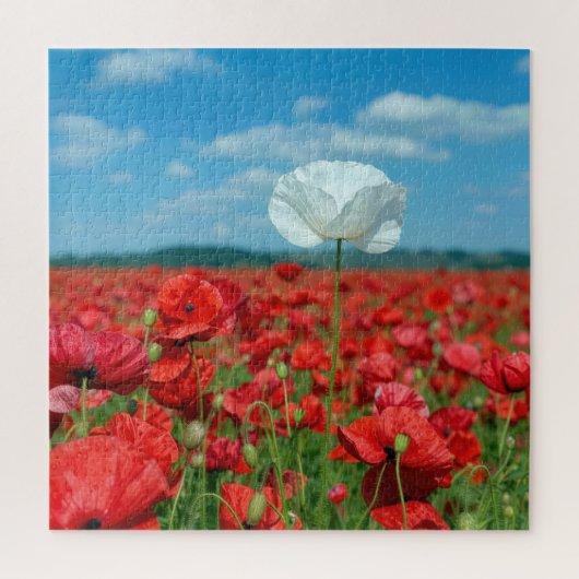 Puzzle Coquelicot blanc unique dans un champ de coquelico (Vertical)