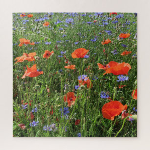 Puzzle coquelicot, fleur, champ, nature, printemps, arriè