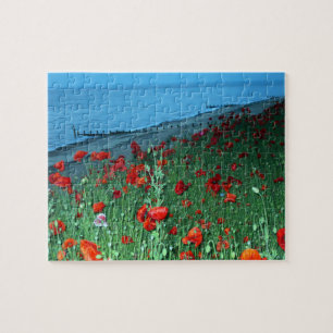 Puzzle Coquelicots de Southwold