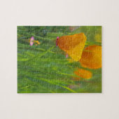 Puzzle Coquelicots dorés de Californie dans un champ vert (Horizontal)