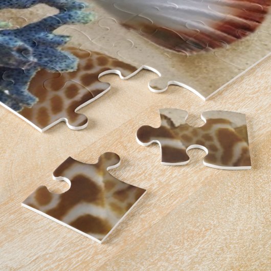 Puzzle Coques de mer sur la plage (Côté)