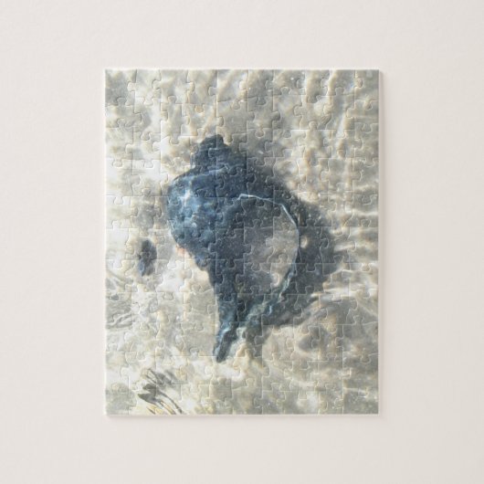 Puzzle Coquillage noir (Vertical)