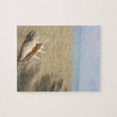 Puzzle Coquillage sur la plage de sable (Horizontal)