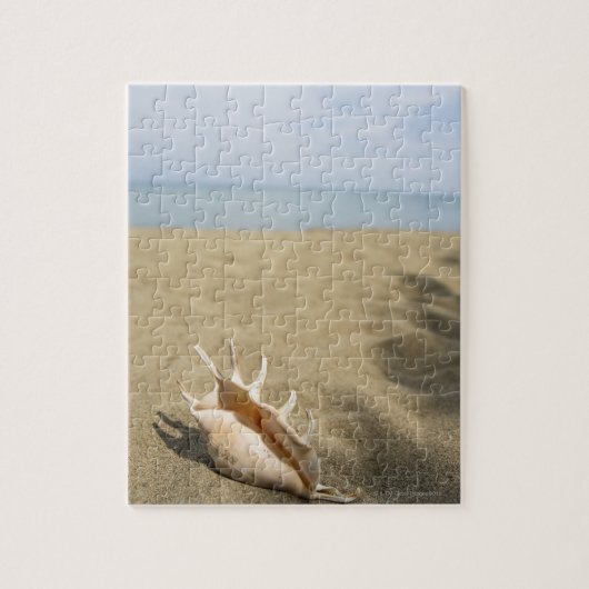 Puzzle Coquillage sur la plage de sable (Vertical)