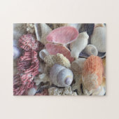 Puzzle Coquillages (Horizontal)