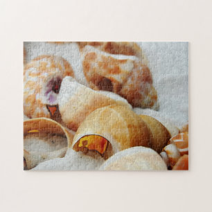 Puzzle coquillages