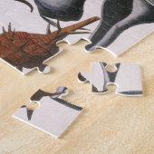 Puzzle Coquillages Anciens, Vie Marine, Coquilles d'Océan (Côté)