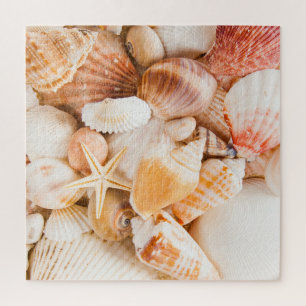 Puzzle Coquillages arrière - plan : thème marin.