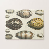 Puzzle Coquillages De Forme Unique (Horizontal)