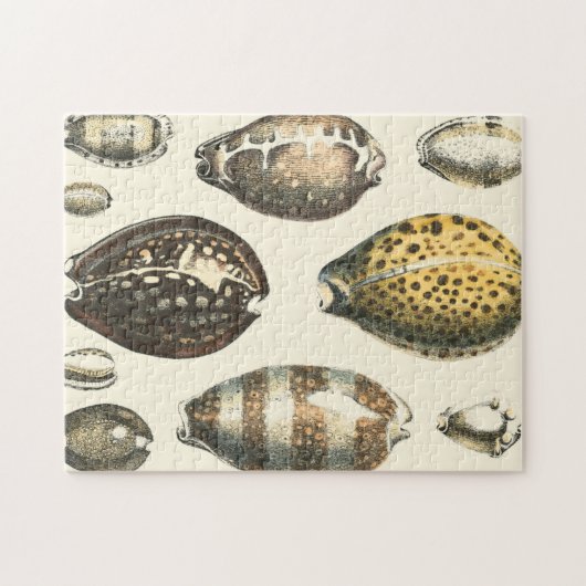 Puzzle Coquillages De Forme Unique (Horizontal)