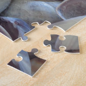 Puzzle Coquillages D'Été Ensoleillés. Romantique, exotiqu (Côté)