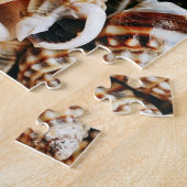 Puzzle Coquillages minuscules (Côté)