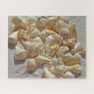 Puzzle - Coquillages sur la plage