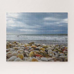 Puzzle Coquillages sur le bord de la mer - 16x20 - 520