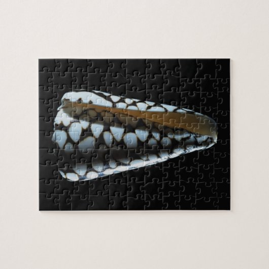 Puzzle Coquille 2 de cône (Horizontal)