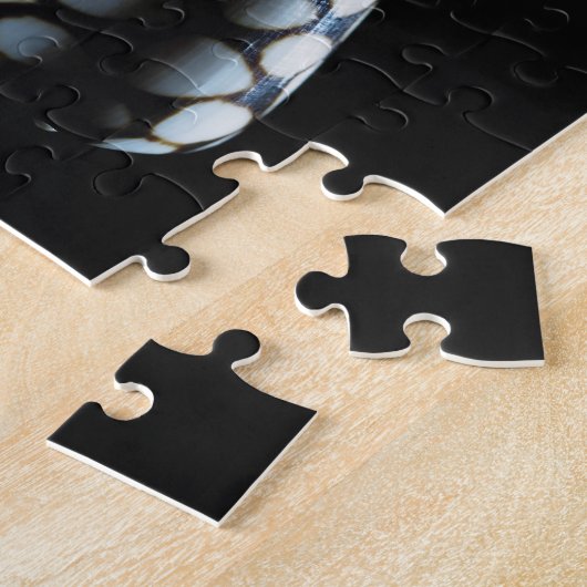 Puzzle Coquille 2 de cône (Côté)