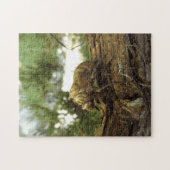 Puzzle Coquille de Canada. C'était pressé. (Horizontal)