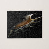 Puzzle Coquille de conque (Horizontal)