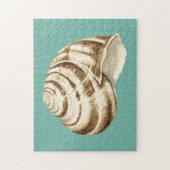 Puzzle Coquille striée Sepia sur Turquoise (Vertical)