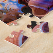Puzzle Coquilles (Côté)