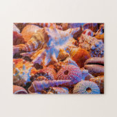 Puzzle Coquilles (Horizontal)