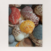Puzzle Coquilles Saint-Jacques colorées (Vertical)