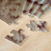 Puzzle Coquilles Saint-Jacques colorées (Côté)