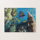 Puzzle Corail et poissons en Mer Rouge, Egypte (Horizontal)