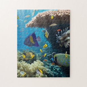 Puzzle Corail et poissons en Mer Rouge, Egypte