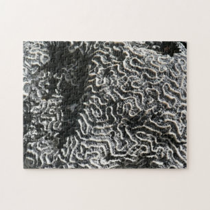 Puzzle Corail noir et blanc I Photo de nature abstraite