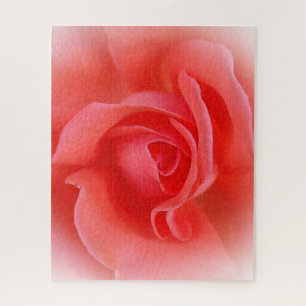 Puzzle corail rose rose