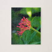 Puzzle Coral Bush en fleurs (Vertical)