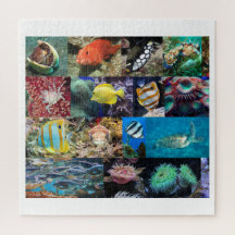Coral Reef Marine Life Collage, 10 ans, 676 pièces