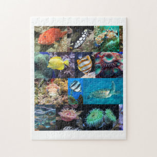 Puzzle Coral Reef Poissons Animaux Photos, Age 8, 252 Piè